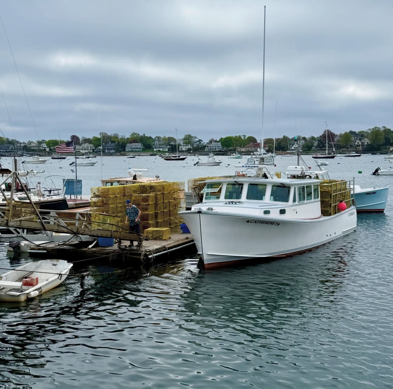Lobster boat Catherine F loaded with yellow wire traps at a New England harbor